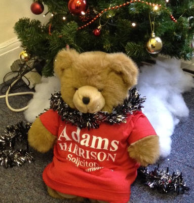 Adams Harrison Christmas Bear